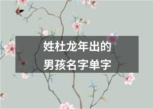 姓杜龙年出的男孩名字单字