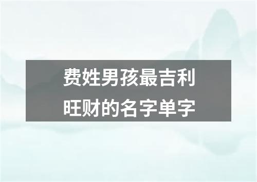 费姓男孩最吉利旺财的名字单字