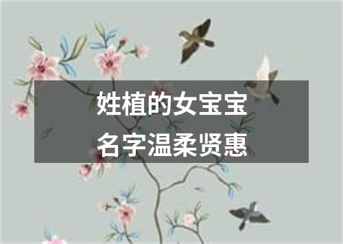 姓植的女宝宝名字温柔贤惠