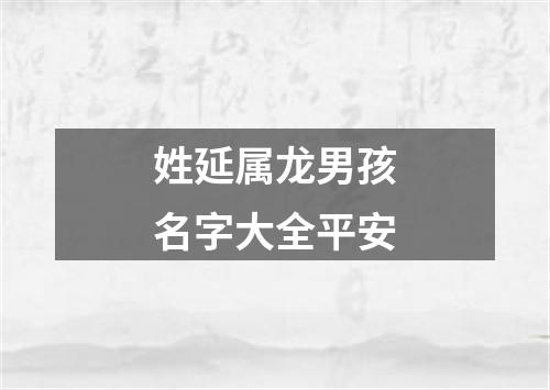 姓延属龙男孩名字大全平安