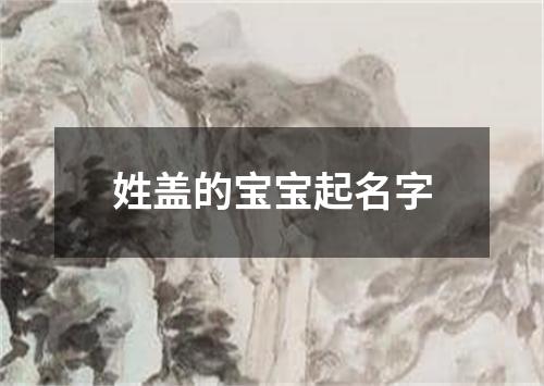 姓盖的宝宝起名字