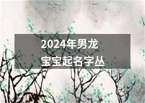 2024年男龙宝宝起名字丛