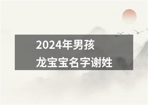 2024年男孩龙宝宝名字谢姓