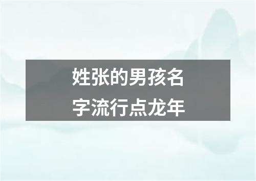 姓张的男孩名字流行点龙年