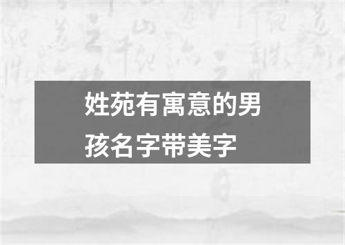 姓苑有寓意的男孩名字带美字