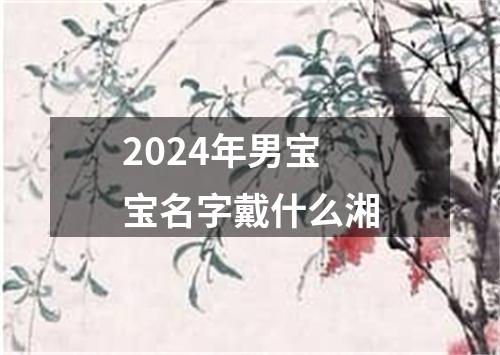 2024年男宝宝名字戴什么湘