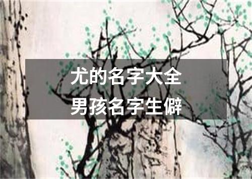 尤的名字大全男孩名字生僻