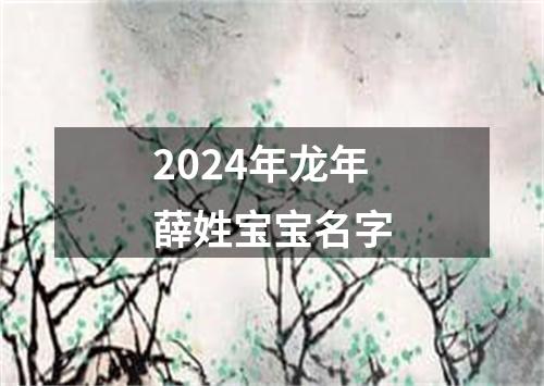 2024年龙年薛姓宝宝名字