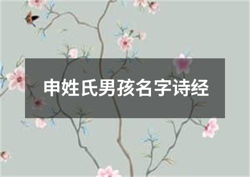 申姓氏男孩名字诗经