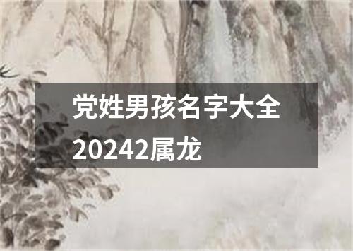 党姓男孩名字大全20242属龙