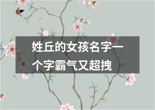 姓丘的女孩名字一个字霸气又超拽