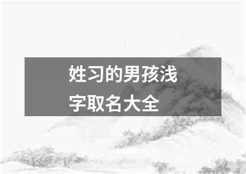 姓习的男孩浅字取名大全