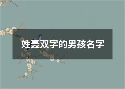 姓聂双字的男孩名字