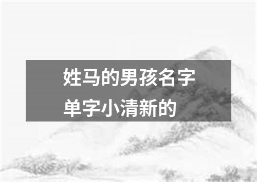 姓马的男孩名字单字小清新的