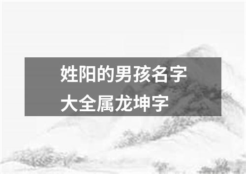 姓阳的男孩名字大全属龙坤字