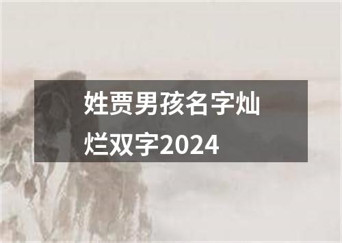 姓贾男孩名字灿烂双字2024