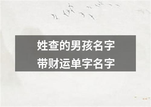 姓查的男孩名字带财运单字名字