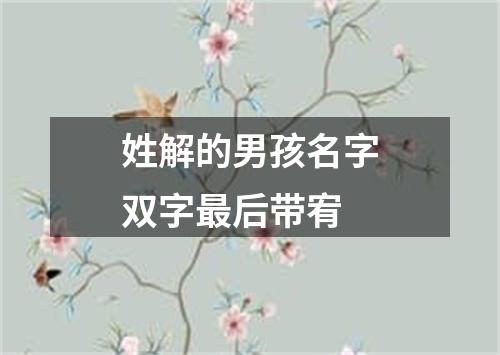 姓解的男孩名字双字最后带宥