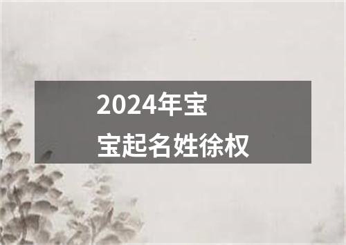 2024年宝宝起名姓徐权