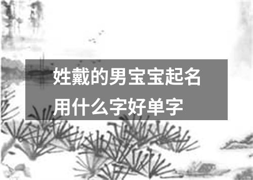 姓戴的男宝宝起名用什么字好单字