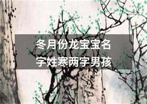 冬月份龙宝宝名字姓寒两字男孩