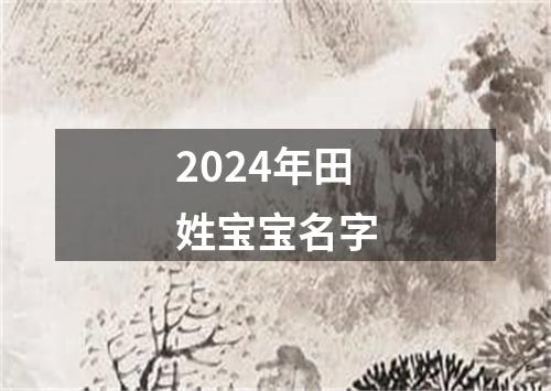 2024年田姓宝宝名字