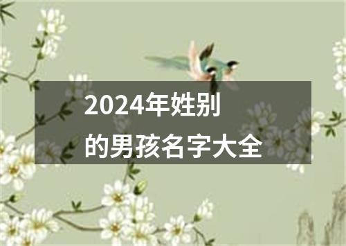 2024年姓别的男孩名字大全