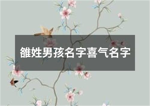 雒姓男孩名字喜气名字