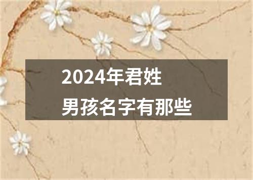 2024年君姓男孩名字有那些