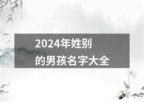 2024年姓别的男孩名字大全