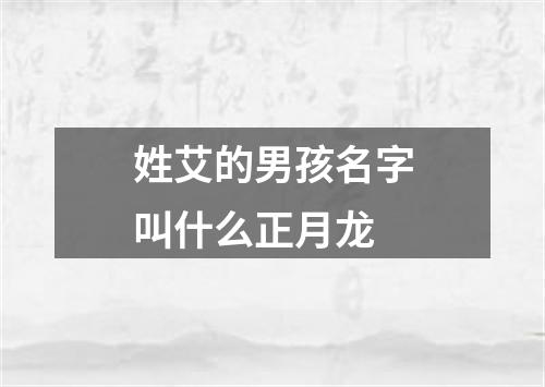 姓艾的男孩名字叫什么正月龙