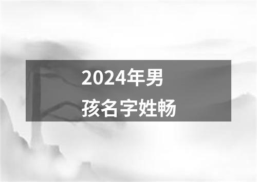 2024年男孩名字姓畅