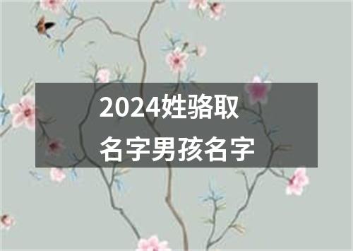 2024姓骆取名字男孩名字