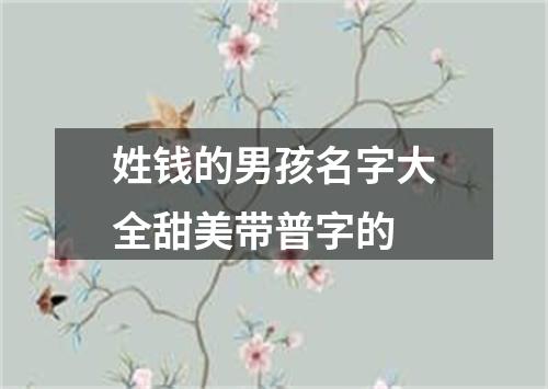 姓钱的男孩名字大全甜美带普字的