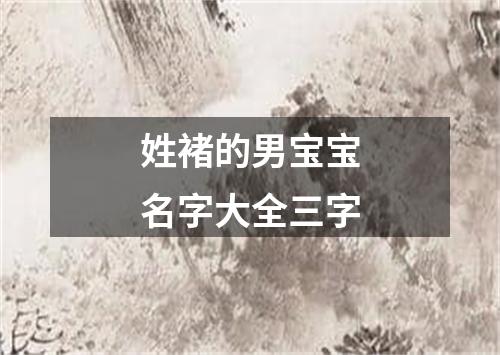 姓褚的男宝宝名字大全三字