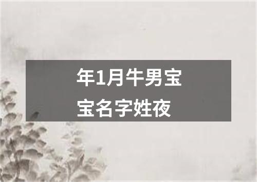 年1月牛男宝宝名字姓夜