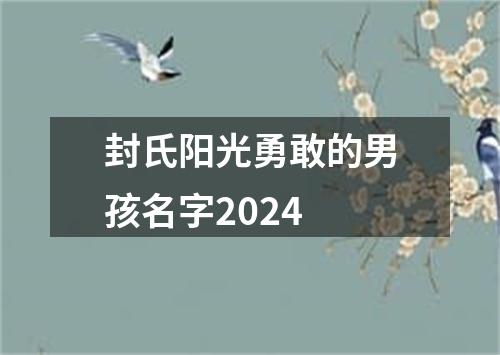 封氏阳光勇敢的男孩名字2024