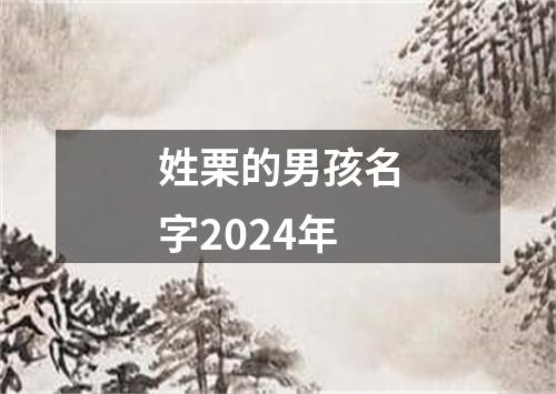 姓栗的男孩名字2024年