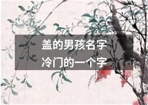 盖的男孩名字冷门的一个字