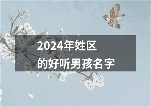 2024年姓区的好听男孩名字