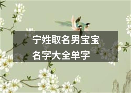 宁姓取名男宝宝名字大全单字