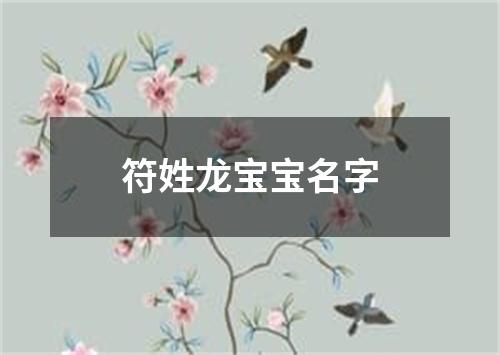 符姓龙宝宝名字