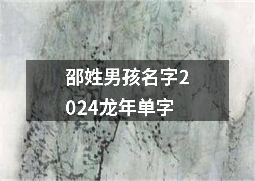 邵姓男孩名字2024龙年单字