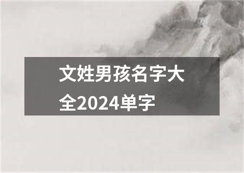 文姓男孩名字大全2024单字