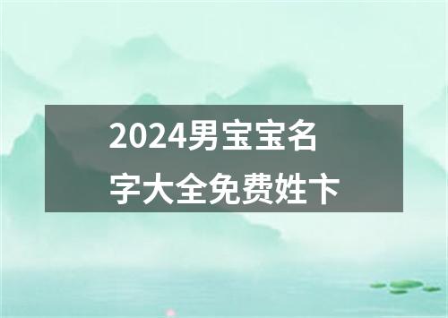 2024男宝宝名字大全免费姓卞