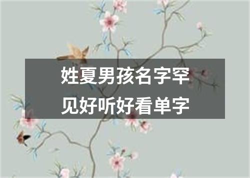 姓夏男孩名字罕见好听好看单字