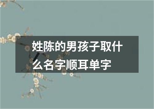 姓陈的男孩子取什么名字顺耳单字