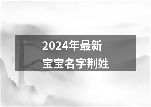 2024年最新宝宝名字荆姓