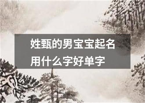 姓甄的男宝宝起名用什么字好单字