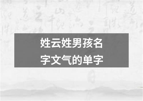 姓云姓男孩名字文气的单字